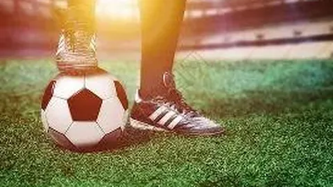 长隆助力企业持续达标排放，共创绿色未来